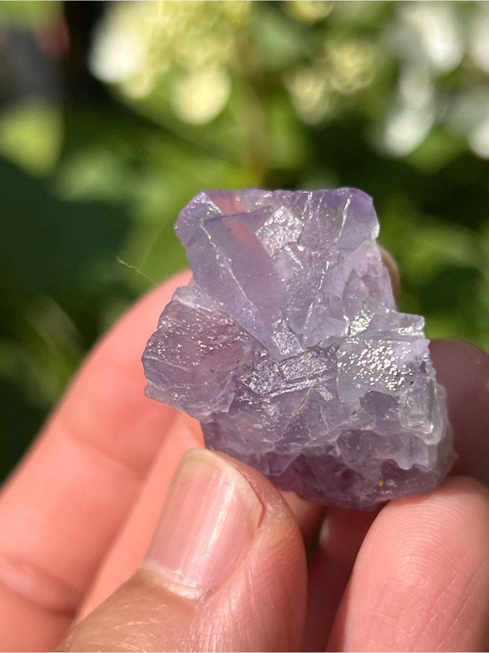 Fluorite (7) specimen with stand | crystal